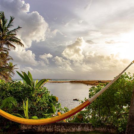Casa Coral Hostel Luquillo Exterior photo